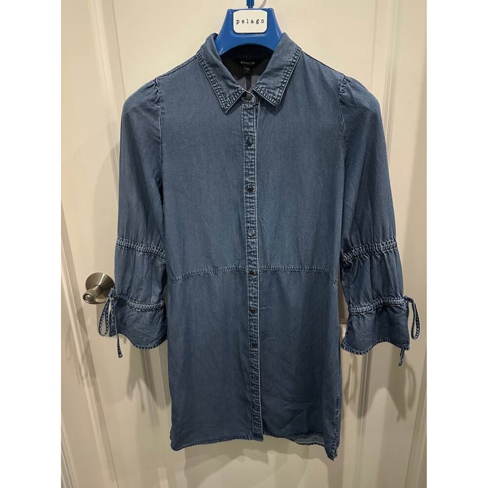 Express Denim Dress